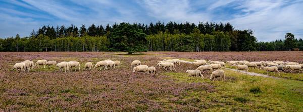 Afbeelding Heerde 1-op-1 midweek