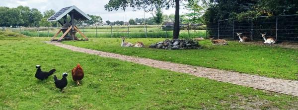 Afbeelding Vollenhove midweek