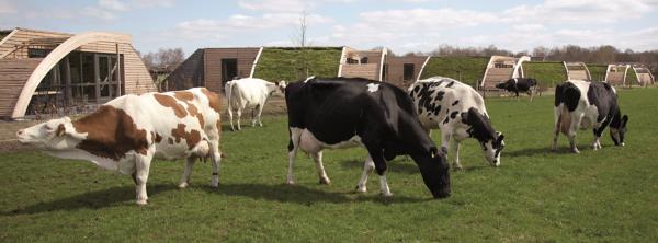 Afbeelding Heeten  midweek