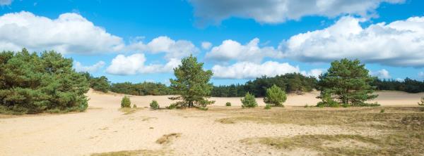 Afbeelding Otterlo  midweek