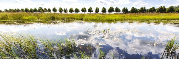 Afbeelding Bakkeveen midweek