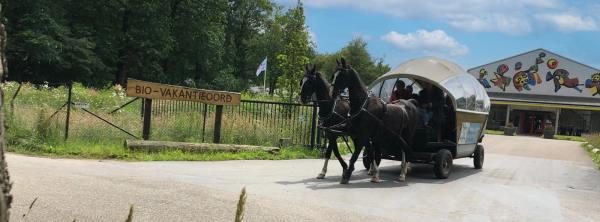 Afbeelding Arnhem 1-op-1 midweek