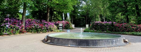 Afbeelding De Bult  midweek 2