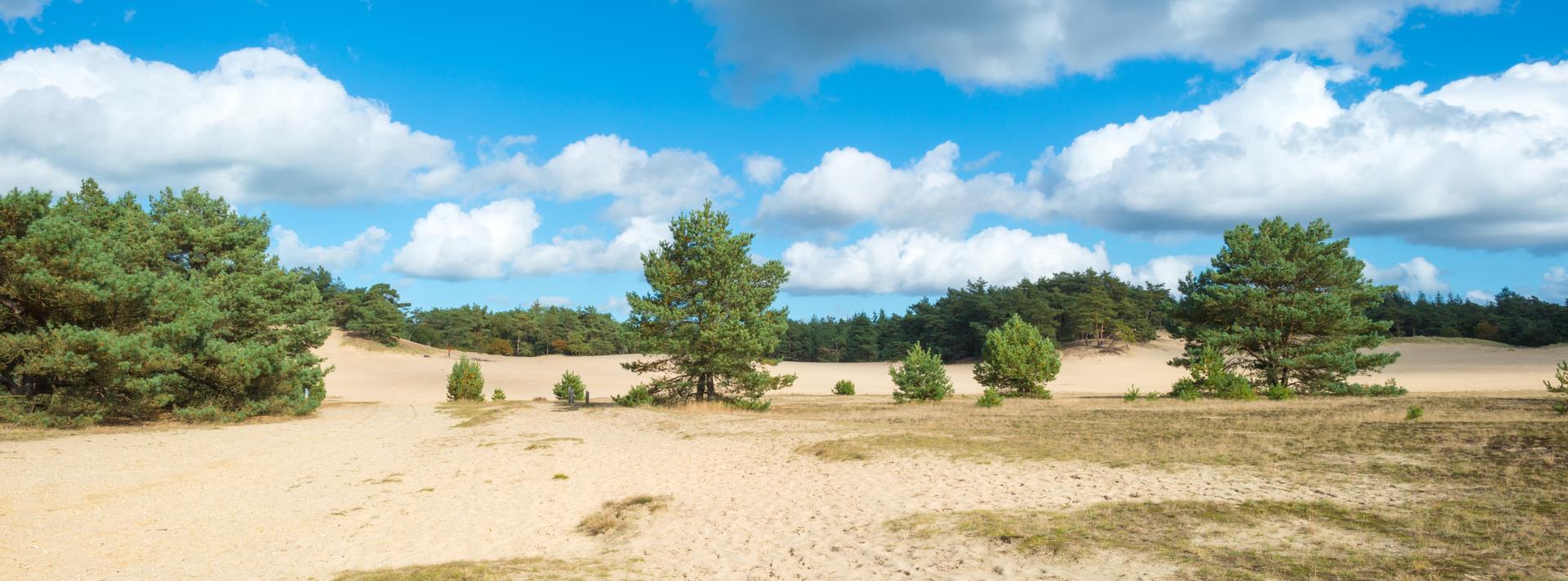 Otterloo midweek boven.jpeg