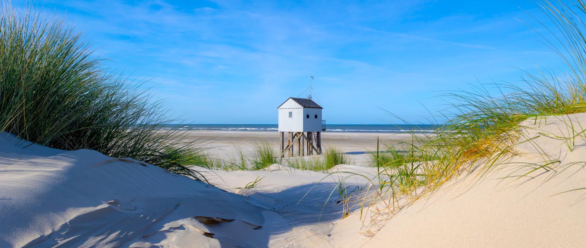 Terschelling aangepast kleiner.png